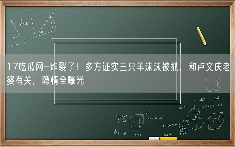 17吃瓜网-炸裂了！多方证实三只羊沫沫被抓，和卢文庆老婆有关，隐情全曝光 